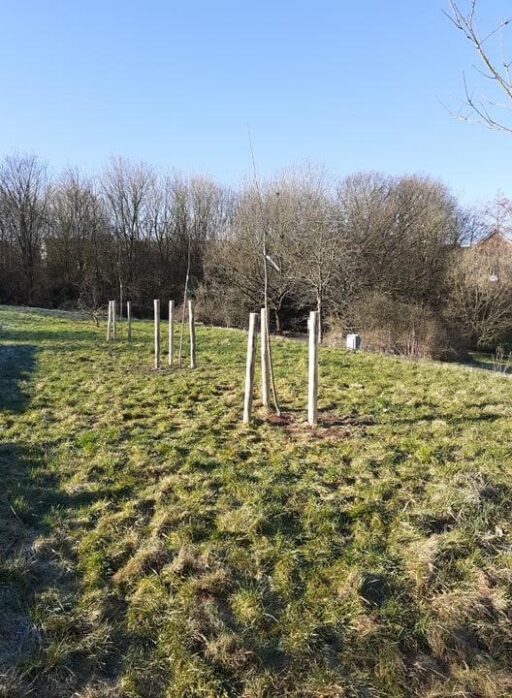Pflanzungen Primarschule Eupen